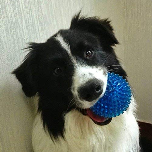 Petlicious & More Rubber Squeaky Spike Pet Dog Chew Toy Ball (Blue)