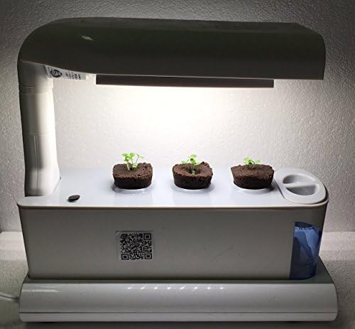 Grow Your Own Plant Seeds Kit - Alternative refill for all AeroGardens (9-pack)