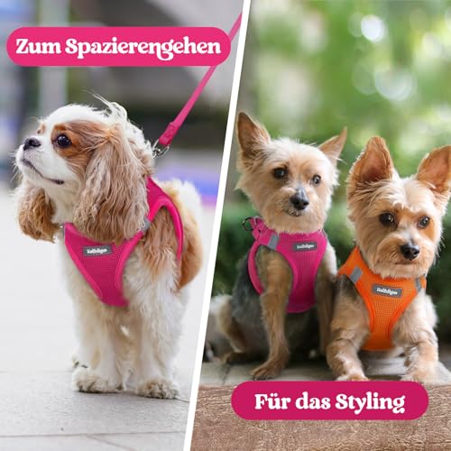 rabbitgoo Hundegeschirr Kleine Hunde, Step-in Welpengeschirr Weich Mesh für Spaziergänge, Atmungsaktives und Reflektierendes Brustgeschirr für Kleine und Mittelgroße Hunde, Rosarot, XS