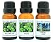 3 Bottles Set, 1 Pinon, 1 Forest Pine, 1 Balsam Fir 1/2 Fl Oz Each (15ml) Premium Grade Scented Fragrance Oils By Crazy Candles