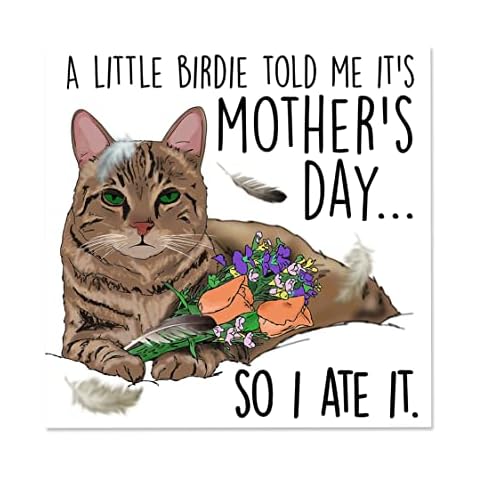 Cat Mother's Day Card, Vegan Card for Mum, Funny Mothers Day Card From Son, Happy Birthday Mummy Card, Mothers Day Card, Mummy Birthday Card from Cat Cover