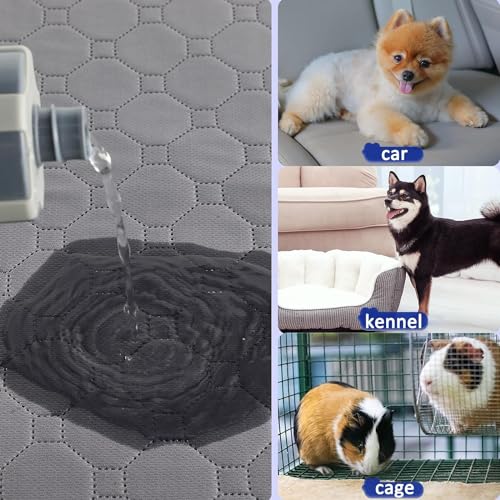 platos-para-perro, Pet Products Imagen adicional