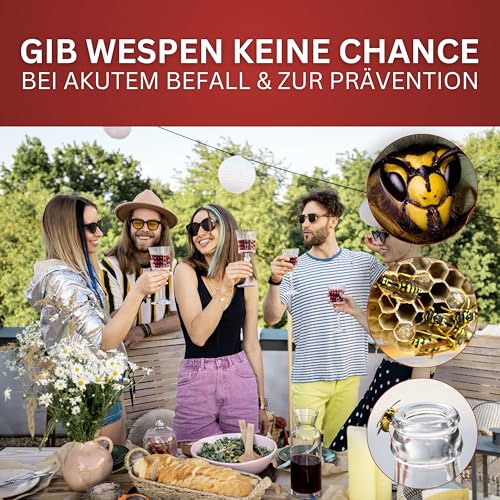 BIODELTA Wespenspray - Wespen effektiv bekämpfen - Anti-Wespen-Spray für schnellen Schutz - Wespenschutz für Garten, Terrasse & Grillen - fleckenfrei (500, ml)