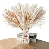 Natural Dried Pampas Grass Decor: 80 Pcs 17" Small Fluffy White Pampas Stems & Beige Reed Grass & Dr