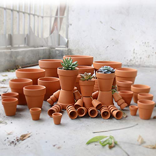 Yishang Mini Terracotta Pots With Drainage Holes - 1.2 Inches Succulent Cactus Nursery Planter,Tiny Clay Nursery Pots For Indoor/Outdoor Mini Plant, Diy Crafts, Wedding Favors(18 Pack) #TOP4