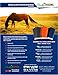 SHOOFLY Horse Leggins, Prevent Paintful Fly Bites, Reduces Stress & Stomping, Chemical-Free Plastic Mesh Material (Orange/Medium)