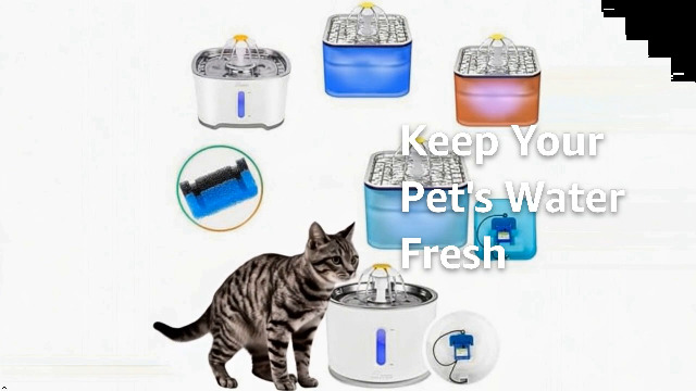 Filtros de repuesto para fuente de agua de gato 8.4oz miniatura 5