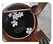 Produktbild Beach Wash Bowl with Plumeria Flowers Mouse Pad, Mousepad (Beaches Mouse Pad)
