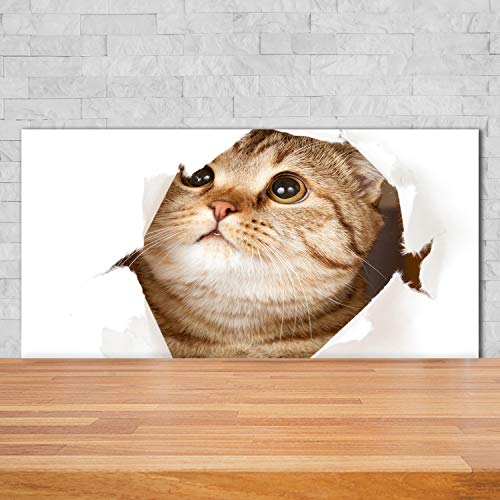 Splashback guard chat beige pour protéger le mur de votre cuisine