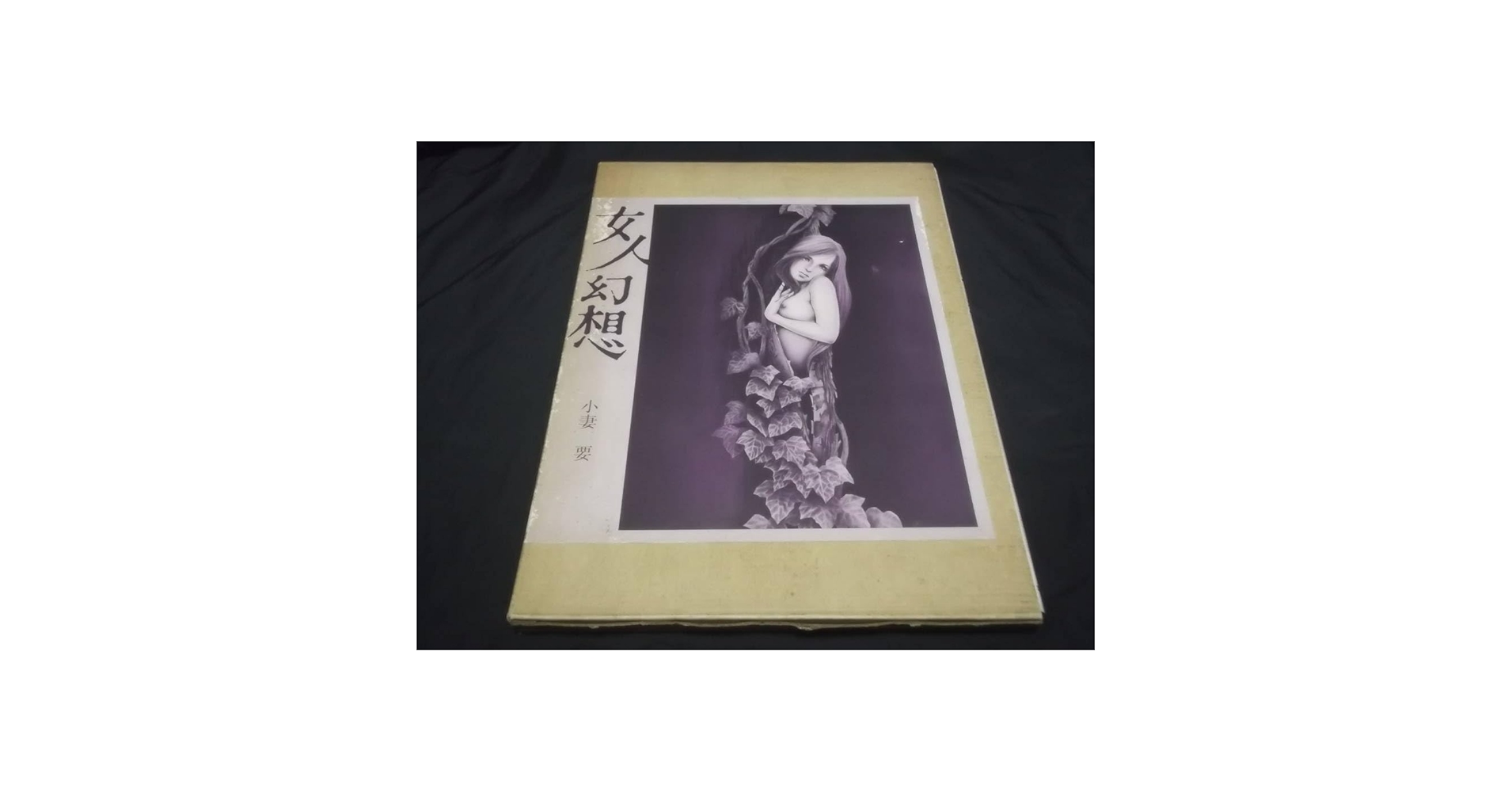 Amazon.co.jp: 女人幻想 刺青美人画 女人倶利迦羅肌 計2冊 小妻