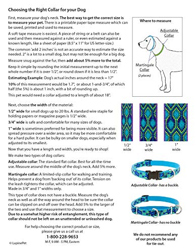 Collar para perro pequeño Lupine 1/2" ancho naranja blaze miniatura 3