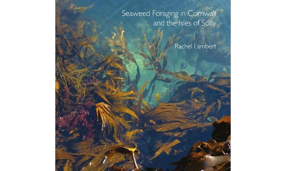 Seaweed Foraging in Cornwall and the Isles of Scilly (Pocket Cornwall)