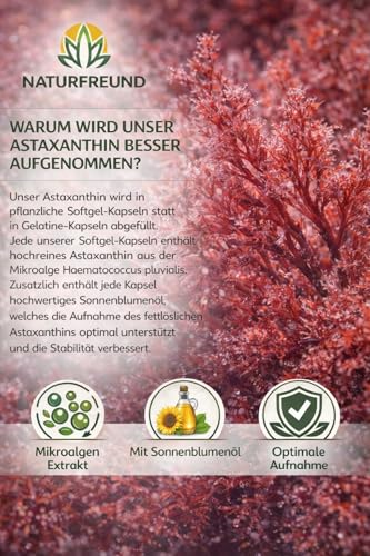 NATURFREUND® Astaxanthin 12 mg HOCHDOSIERT - 90 vegane Kapsel - ohne Zusätze - aus echten Haematococcus Pluvialis-Mikroalgen gewonnen - Laborgeprüft und Zertifiziert in Deutschland