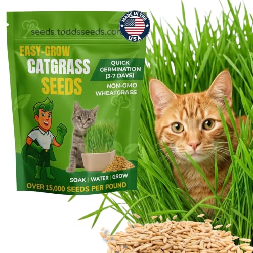 Todd's Seeds Cat Grass Seeds for Indoor Cats, 1lb...