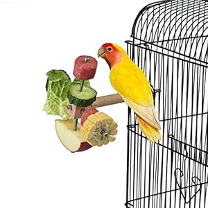 Guanlant Bird Food Holder for Cage, Bird Feeders Stand, Rotating Bird Toys with Perch, Parrot Fruits and Veggies Holder, Birds Foraging Toy, Bird Treat Sticks for Cockatiel Parakeet Conure Eclectus