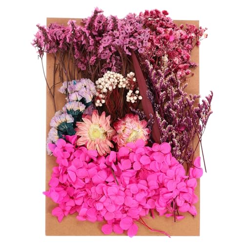 Flores secas de rosa para manualidades DIY miniatura 1