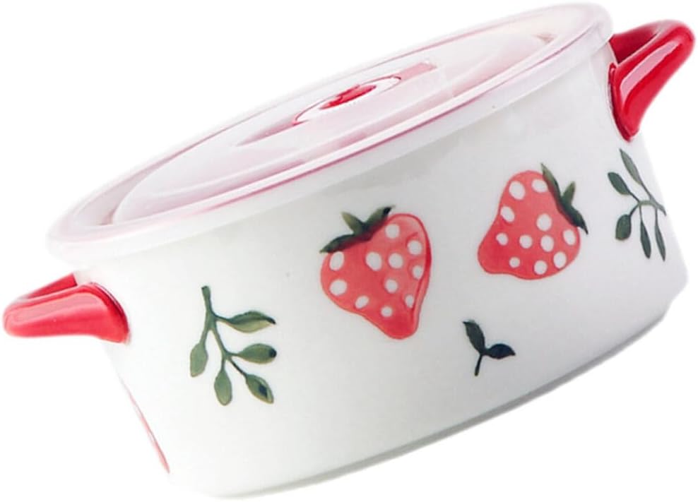 Lunch Containers Ceramic Bowls Set with Lids and Handle