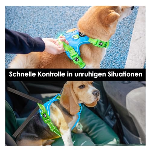 PHOEPET Anti-Zug Hundegeschirr - Reflektierendes Verstellbares Welpen-Sicherheitsgeschirr für kleine, mittelgroße und große Hunde (S,Blaue Basis & Grüne Träger)
