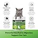 Hairball Support for Cats - 10 Super Ingredients for Hairball Relief, Digestive Support & Healthy Skin - No Fillers - Psyllium, Pumpkin, Omega-3s & More - 120 Scoops