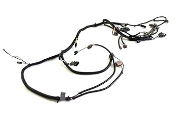 Amazon.com: Polaris ATV Main Harness, Genuine OEM Part