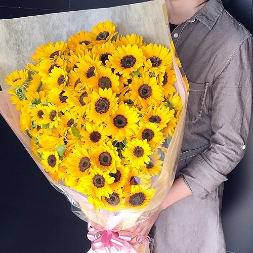 BisesFlower(rYt[) yԑq}z (108{) v|[Y Ђ܂