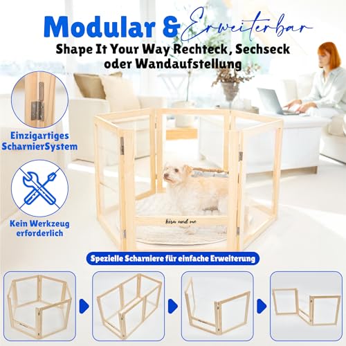 Emma Hundelaufstall Welpenauslauf [Massivholz Acrylglas] Welpenlaufstall mobiler Hundezaun | modernes Design | 60cm hoch