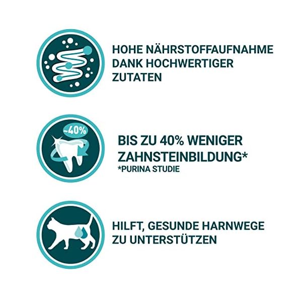 PURINA ONE BIFENSIS Adult Katzentrockenfutter: reich an Huhn, stärkt natürliche Abwehrkräfte, für gesunde Knochen, Haut, Zähne & Harnwege I ab 1 Jahr – Bild 9