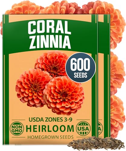 HOME GROWN Coral Zinnia Seeds (1g) – 600 Zinnia elegans Annual Flower Seeds for Planting Outdoors – Heat Tolerant Easy Summer Flowers to Plant – Herb Seed Companion for Pollinator Garden Beds for 2026