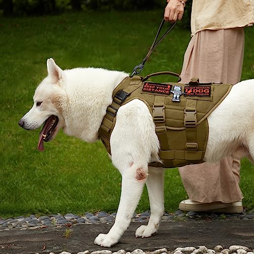 OneTigris Bolt Kurzführer Hund 30cm, Hundeleine Kurz mit Tiger Zahn Metallclip und Weiche Polsterung, Reflektierend Nylon Hundeleine Geeignet für Mittlere Große Hunde Braun