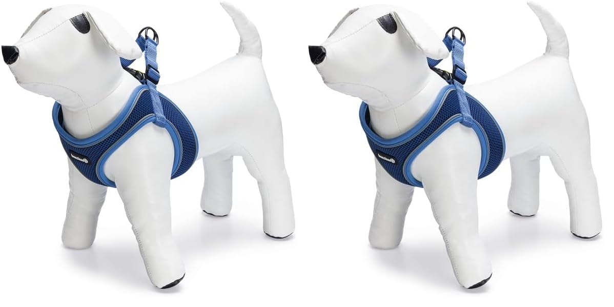 Beeztees Köpek Göğüs Tasması, Neopren, Mavi, M, 41-46cm (2 paketi)