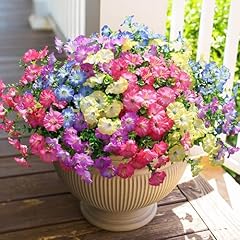 Multi Color(3 Gradient Pink, 3 Gradient Purple, 3 Gradient Blue, 3 Gradient Yellow)