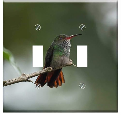 Switch Plate Double Toggle - Fauna Nature The India Quindio 1