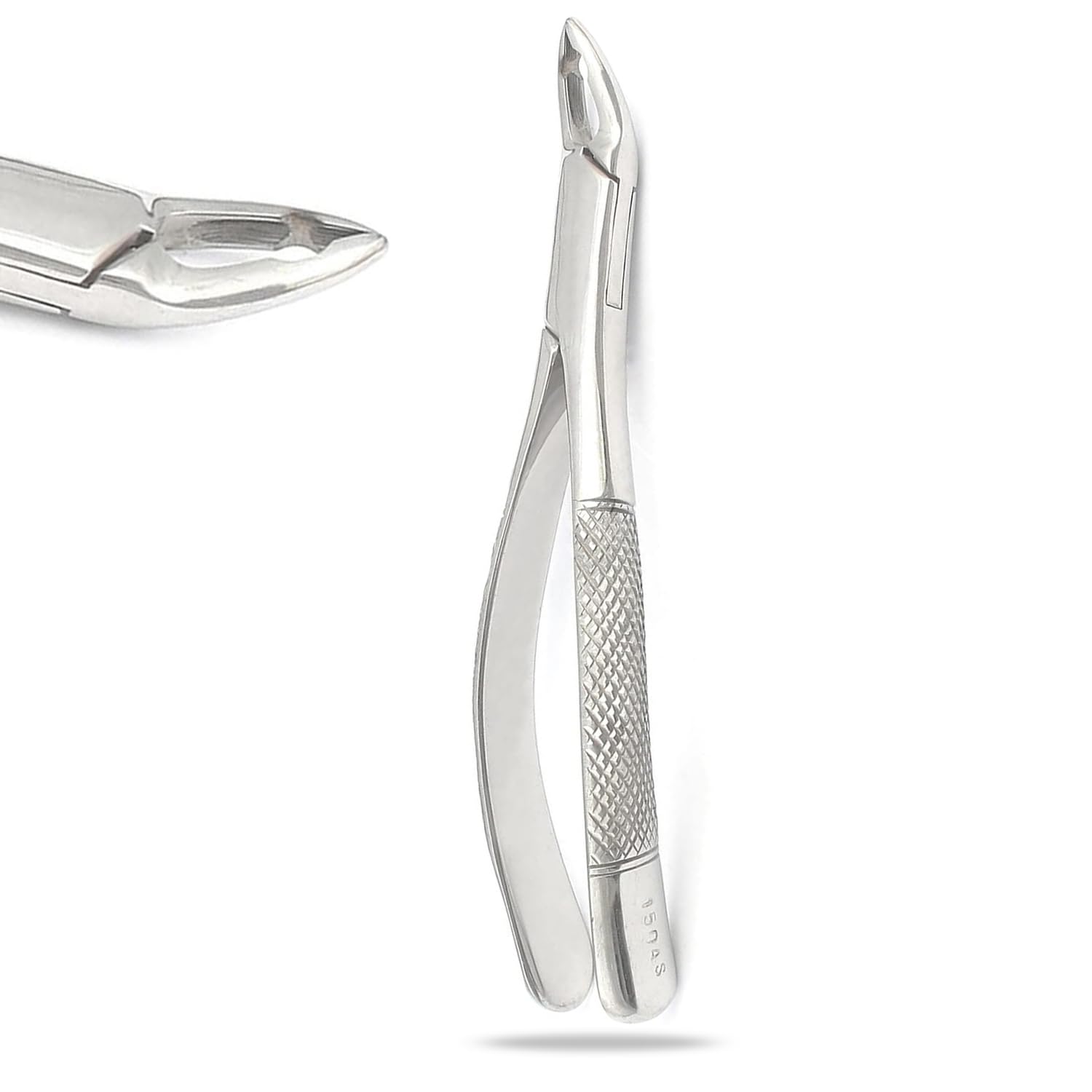 PRECISE CANADA: New German Grade Stainless Dental Tooth EXTRACTING Forceps #150AS with Serrated Jaws New