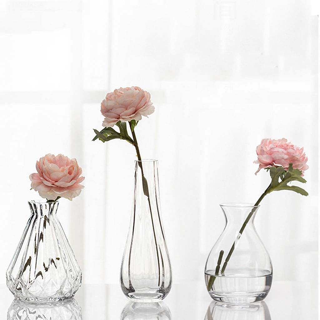 Kleine Vase, dekorativ, 17,8 cm hoch, klare Glasknospenvase für Zuhause/Grünpflanzen (Farbe: C) (D)