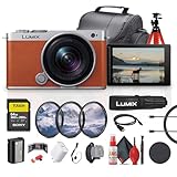 Panasonic Lumix S9 Full Frame Mirrorless Camera with 18-40mm f/4.5-6.3 Lens, Compact, Lightweight (Orange) (DC-S9ND) + 64GB Memory Card + Camera Bag + Lens Filter Kit + Flexible Tripod + More