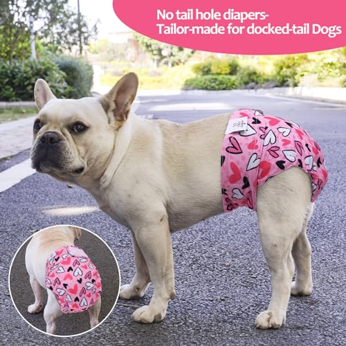 Image of CuteBone Washable Dog Diapers Female No Tail Hole 3 Pack Reusable Doggie Period Training Pants Valentines for Docked-Tail Frenchie French Bulldog Boston Terrier Without Tail WWD20S