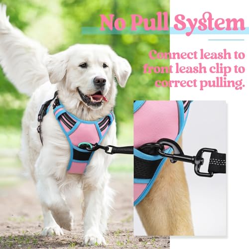 Image of rabbitgoo Dog Harness No Pull with 2 Leash Clips, Adjustable Soft Padded, Reflective Oxford No Choke Pet Vest with Easy Control Handle for Large Dogs, Pink & Blue, XL