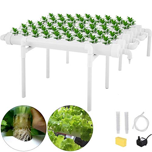 DreamJoy 1 Layer 54 Plant Sites Hydroponic Site Grow Kit 6 Pipes Hydroponic Growing System Water Culture Garden Plant System for Leafy Vegetables Lettuce Herb Celery Cabbage