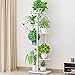 Soporte para Flores con 6 Estantes, Escalera para Flores de Metal, Estantería para Interior, Soporte para Plantas para Decoración Interior y Exterior (blanco)