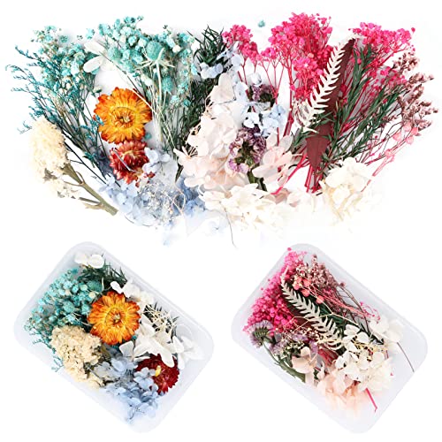 RUNEAY Flores Secas,Flores Secas Naturales Flores Secas Para Resina Flores Secas Manualidades Flores Secas Naturales Decorar Flores Para Manualidades DIY Flores preservadas Resina Cover
