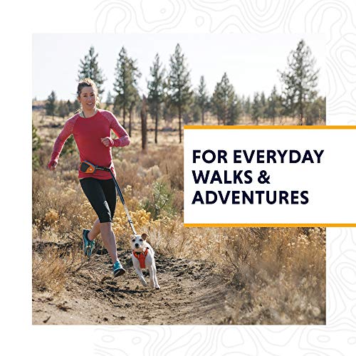 RUFFWEAR, Hi & Light, Everyday Lightweight Dog Harness, Trail Running, Walking, Hiking, All-Day Wear, Twilight Gray… - Image 3