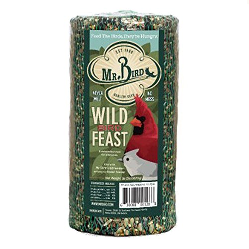 Image of Mr. Bird WildBird Feast Cylinder, 1-Pack, 1 lb 15 oz | Wild Bird Seed for Outside Feeders | Premium Blend of Pecans, Sunflower Hearts & Millet | No Mess, No Melt
