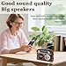 PRONLY Radio Portable AM FM SW, Vintage Radio Bluetooth Speaker, Removable & Battery Powered Rechargeable Shortwave Radios with Internal Clock & Flashlight Support TF Card/USB Playing for Gifts, Brown