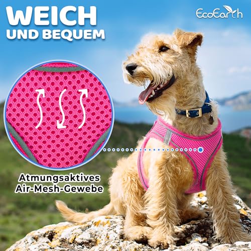 Hundegeschirr + Leine - Klein, Rosa - Weich gepolstert, No Pull Design Haustiergeschirr + Reflektierende Streifen für kleine Hunde - von EcoEarth