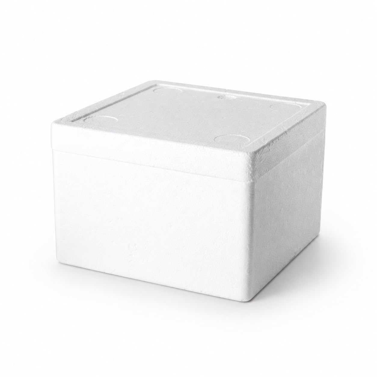 Homyl Custodia Medica Isolata Borsa Termica Contenitore Scatola Farmaci con Isolamento in Schiuma Pressurizzata Adatta a Trasporto Vaccini Forniture Mediche
