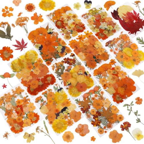 Image of NESCCI 350 Pcs Orange Fall Dried Flowers for Crafts,Real Nature Dried Flowers for Craft Bulk Dry Flowers Leaves Kit Used for Resin Molds Scrapbooking DIY Art Crafts Candle Soap Making Nails Decor