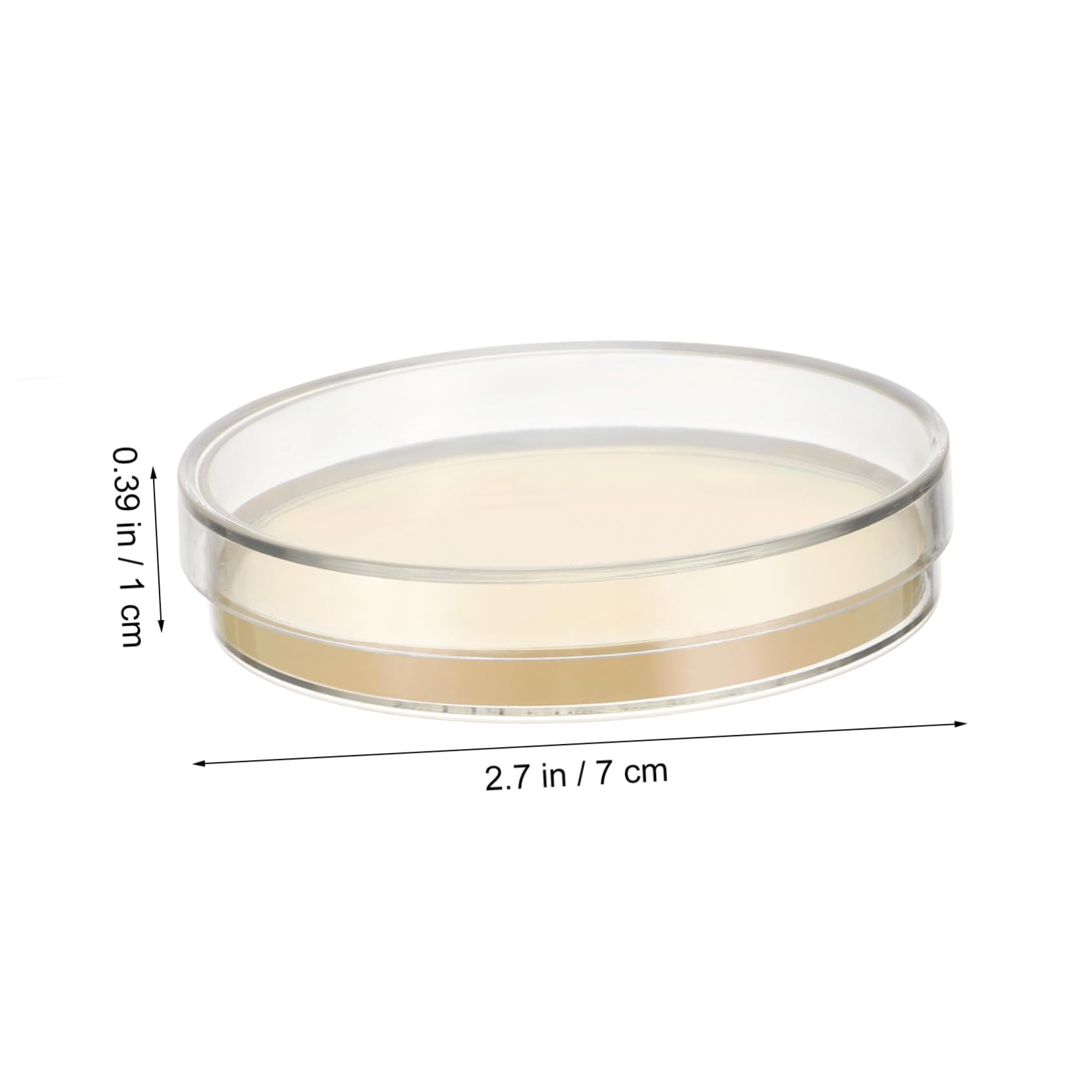 CLISPEED 10Piezas Placas de Petri de Agar Nutritivo Kit Científico de Unidades Experimentos de Microbiología Laboratorio y Clases de Ciencias