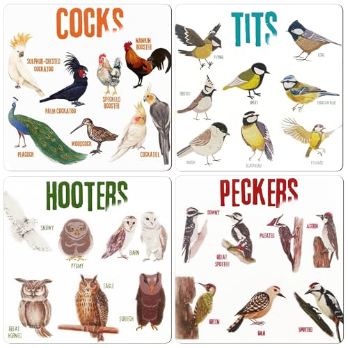 Bird Pun Coasters, Square Funny Coaster Set Coffee Coasters for Bird Lovers Kitchen Decor...