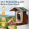 PeckCam® Bird Feeder with Camera Solar Powered, AI Identify & Auto Capture, 2K HD Live Video Smart Bird Feeder Camera Instant Notifications in Backyard, Gift for Bird Lovers #2
