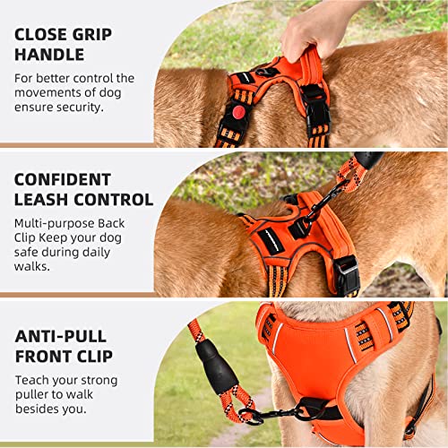 Juqiboom No Pull Dog Harness With A Free Heavy Duty 5Ft Dog Leash, Adjustable Soft Padded Dog Vest, Reflective No-Choke Pet Oxford Vest With Easy Control Handle For Dogs(Orange, Medium) #TOP5